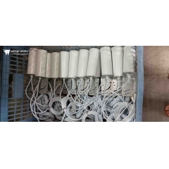 Antenne omnidirectionnelle MiMo 5G 2X2