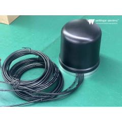 Antenne Combo pour armoire extérieure