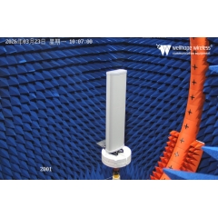 antennes multiples LoRaWAN 5G