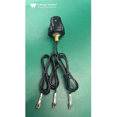 Antenne de WLAN automobile extérieure WH-4G-2.4-GPS-D2 